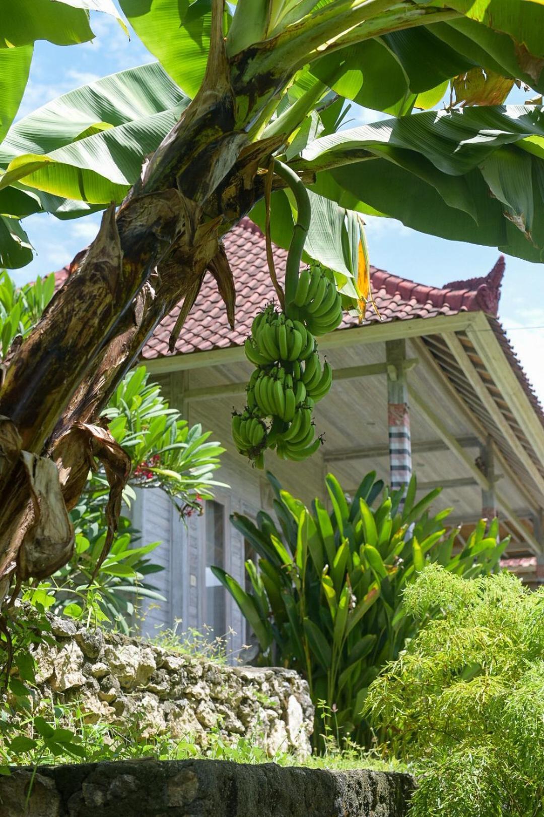 Отель Mesari Hut Lembongan Экстерьер фото